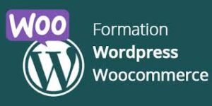 Formation WordPress – Coaching personnalisé  (8 séances en direct)